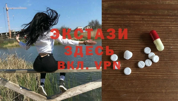 ГАЛЛЮЦИНОГЕННЫЕ ГРИБЫ Аркадак