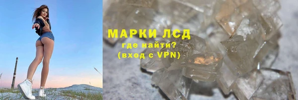 ГАЛЛЮЦИНОГЕННЫЕ ГРИБЫ Аркадак