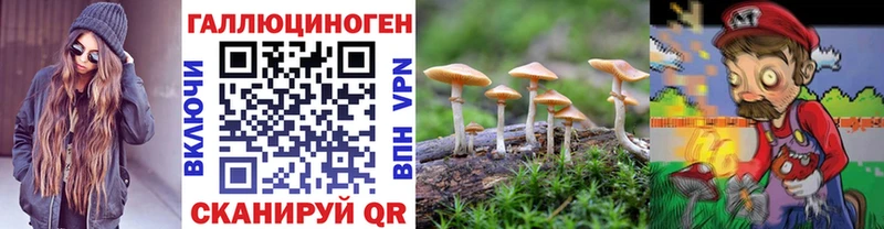 Псилоцибиновые грибы MAGIC MUSHROOMS  Нязепетровск 